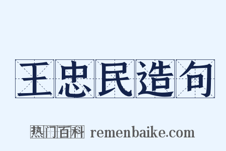 王忠民造句是什么意思的图片